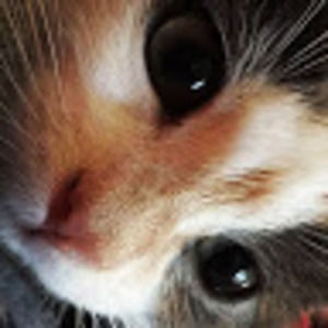 Meet your Posher, Cara